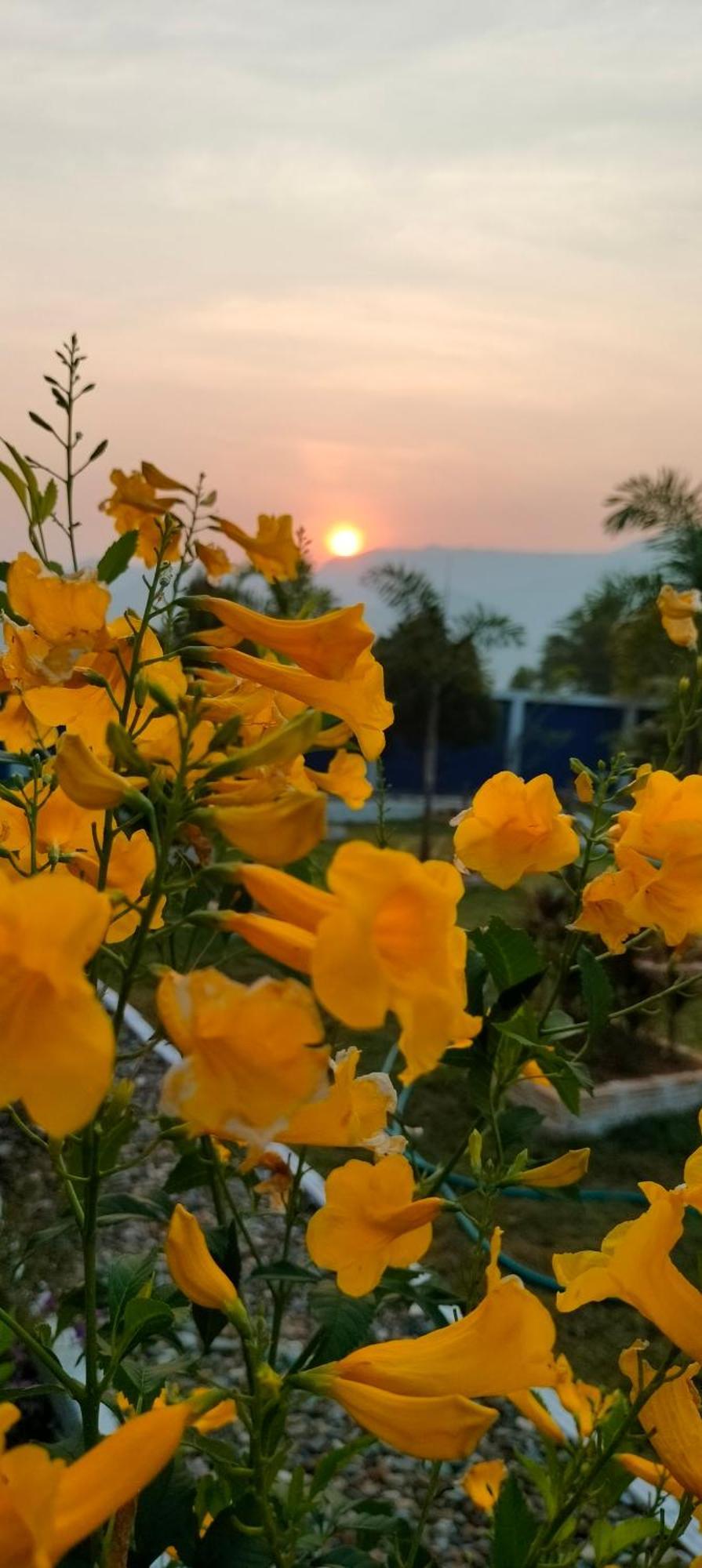 נאן Poonsap Homestay מראה חיצוני תמונה
